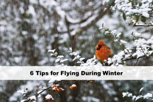 6-Tips-for-Flying-During-Winter