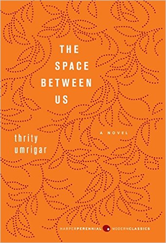 The space between us book